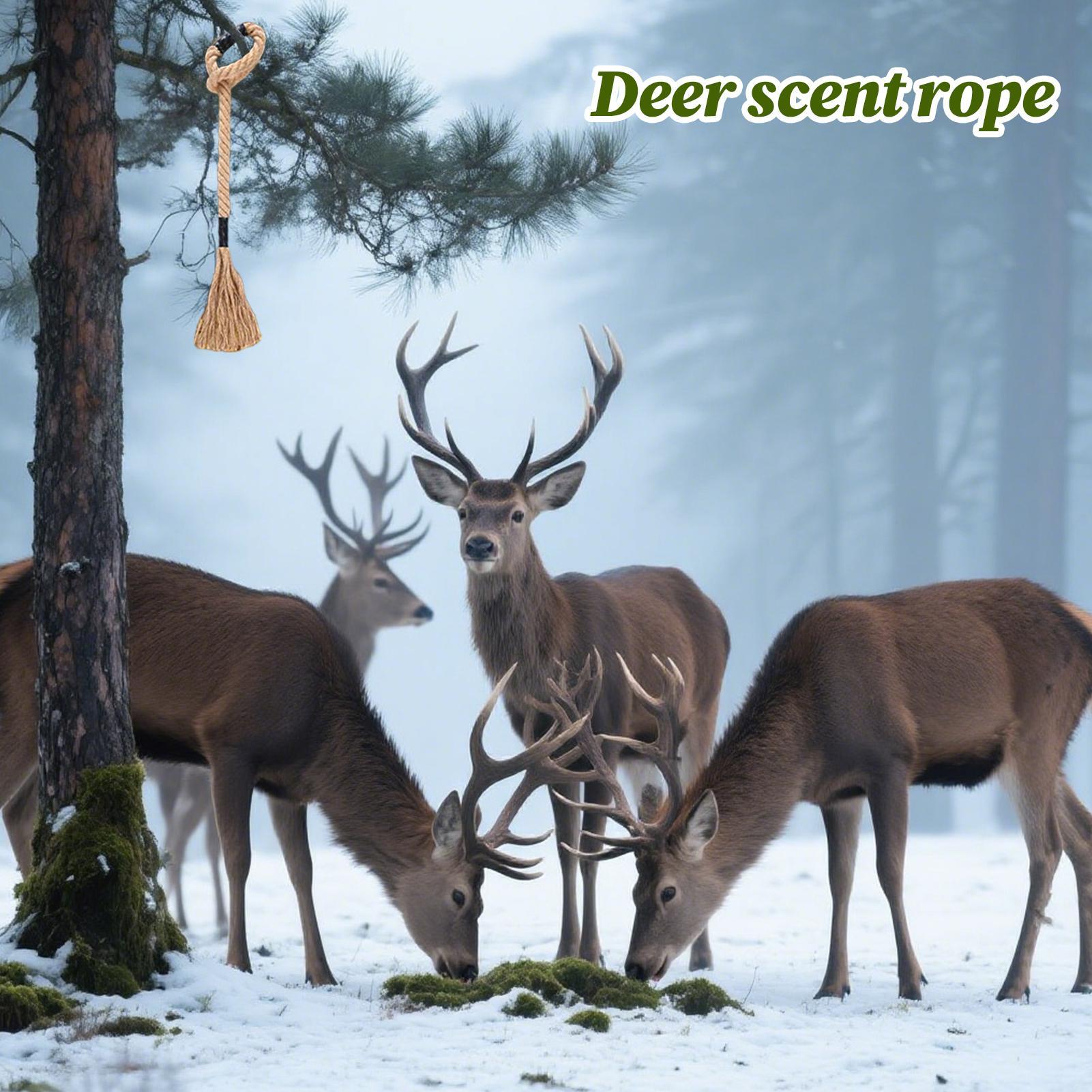 Sznurek zapachowy z zapachem j – Deer Attractant Scent recenzja i cena