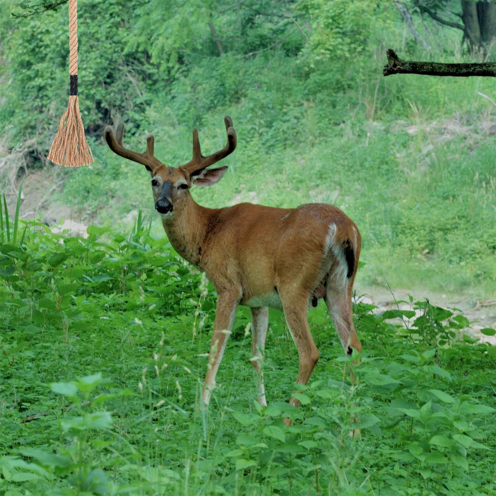 Sznurek zapachowy na jelenie,  – Deer Attractant Scent recenzja i cena